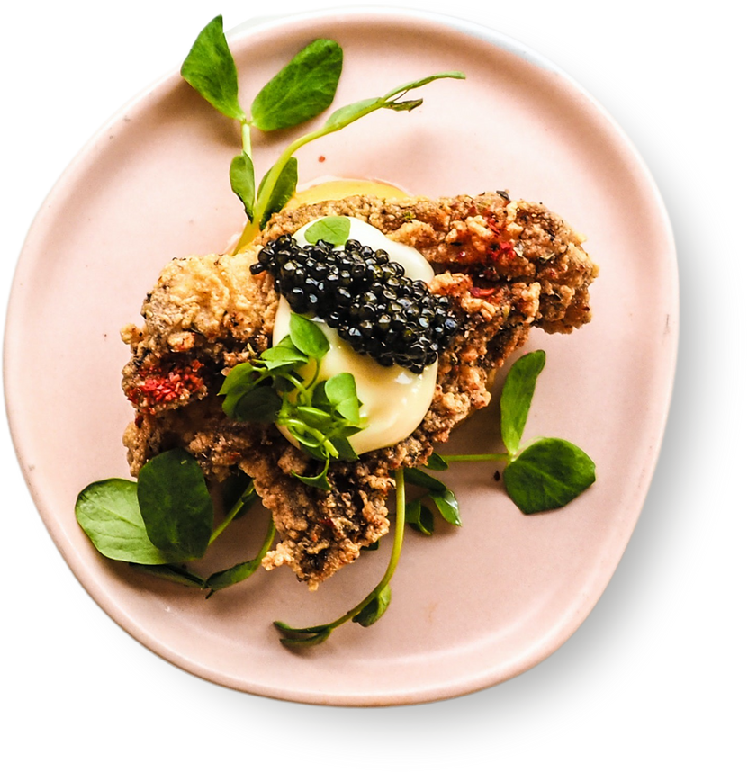 Food Plate Isolated on White